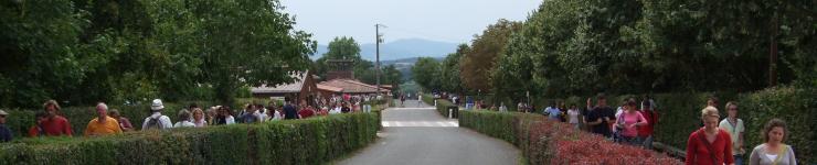 Wege des Vertrauens
